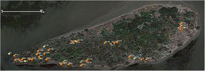 Evaluating Functional Dispersal in a Nest Ectoparasite and Its Eco-Epidemiological Implications